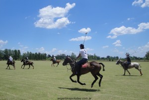 argentina polo day